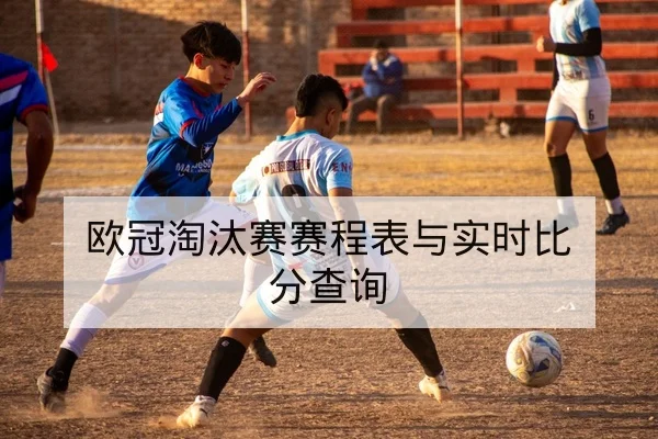 德甲关键数据：射门效率与场均xG统计
