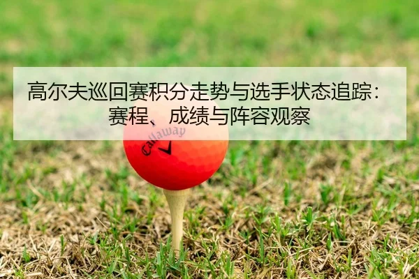 高尔夫巡回赛积分走势与选手状态追踪：赛程、成绩与阵容观察